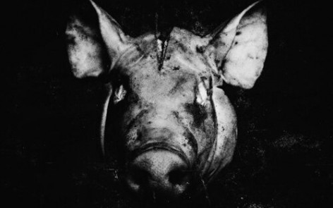 Slaughterhouse - House Rules